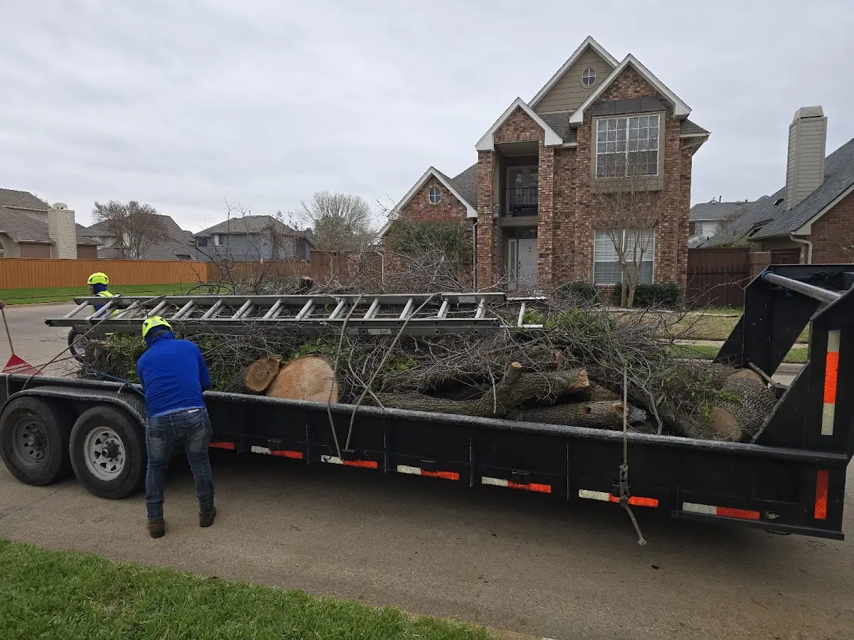 Expert Tree Fertilization with proper safety equipment in Cypress Inn